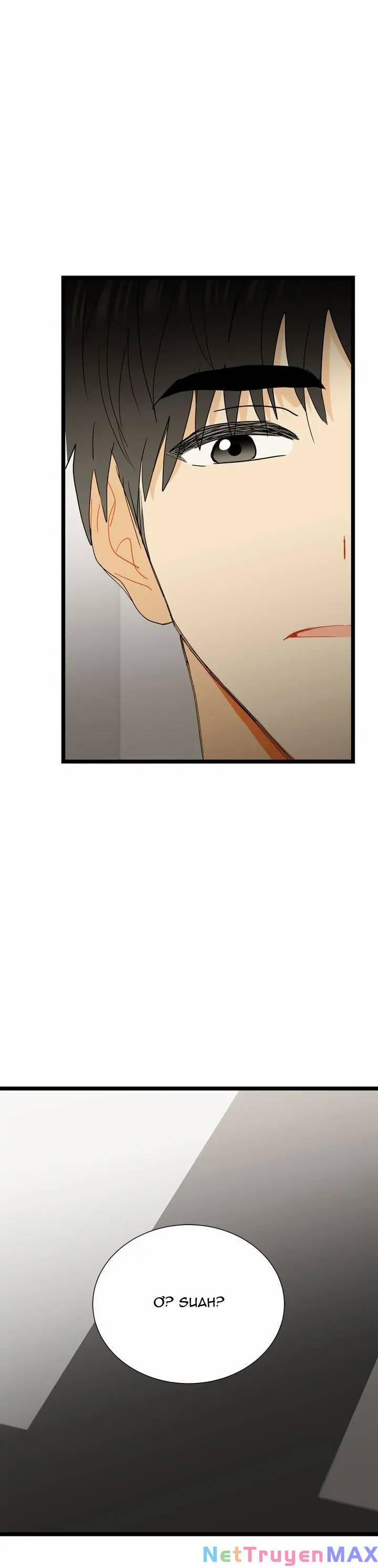 Giả Mạo Theo Phong Cách 93 trang 24