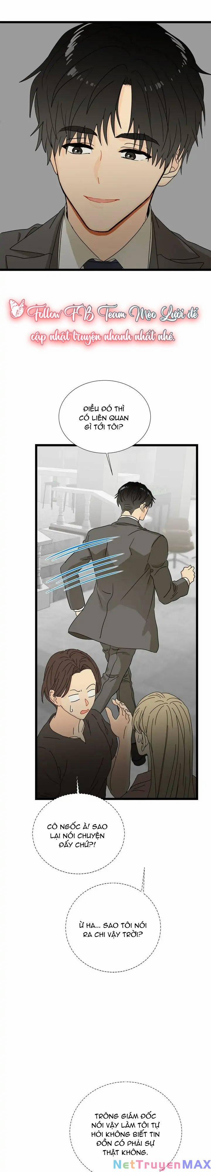 Giả Mạo Theo Phong Cách 95 trang 8