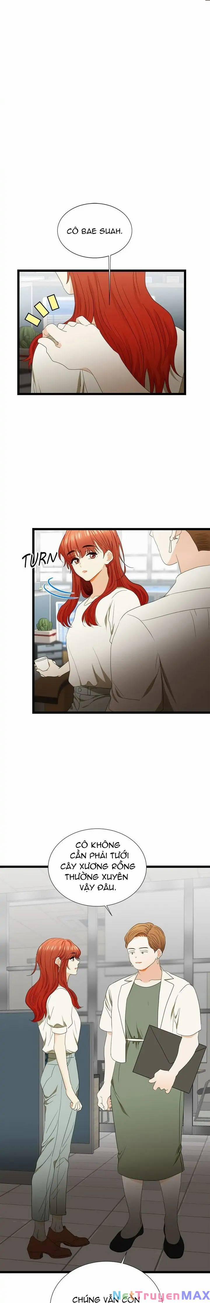 Giả Mạo Theo Phong Cách 96 trang 0