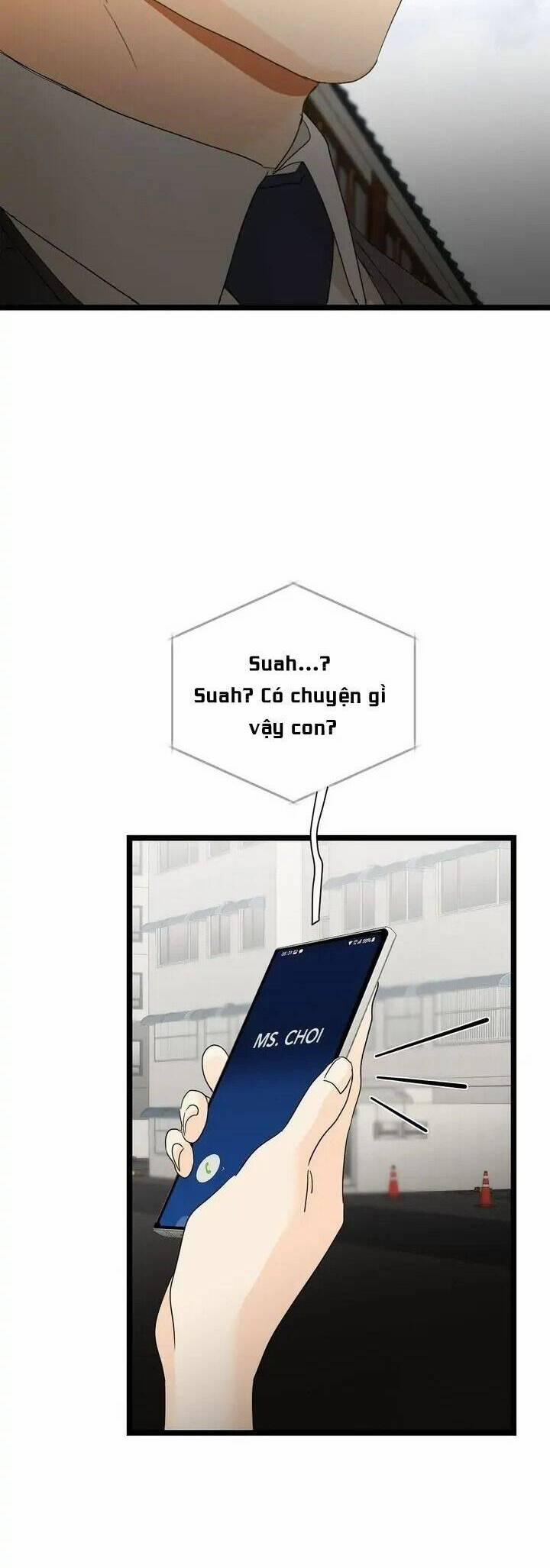 Giả Mạo Theo Phong Cách 98 trang 27