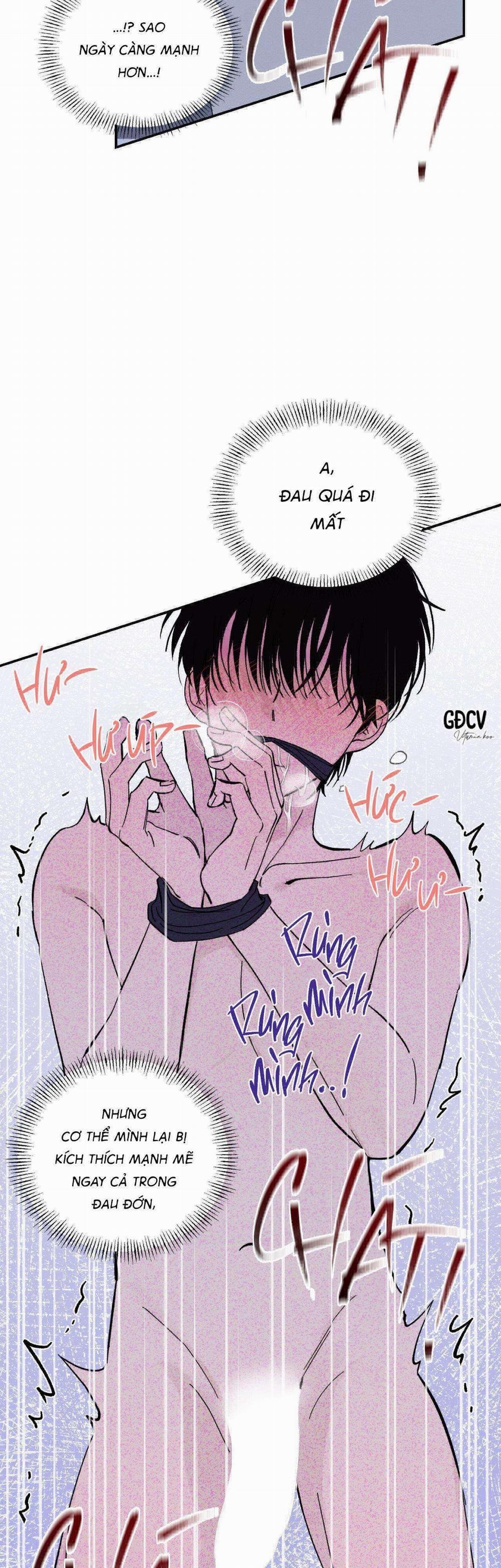 Gia Nhân 12 trang 8