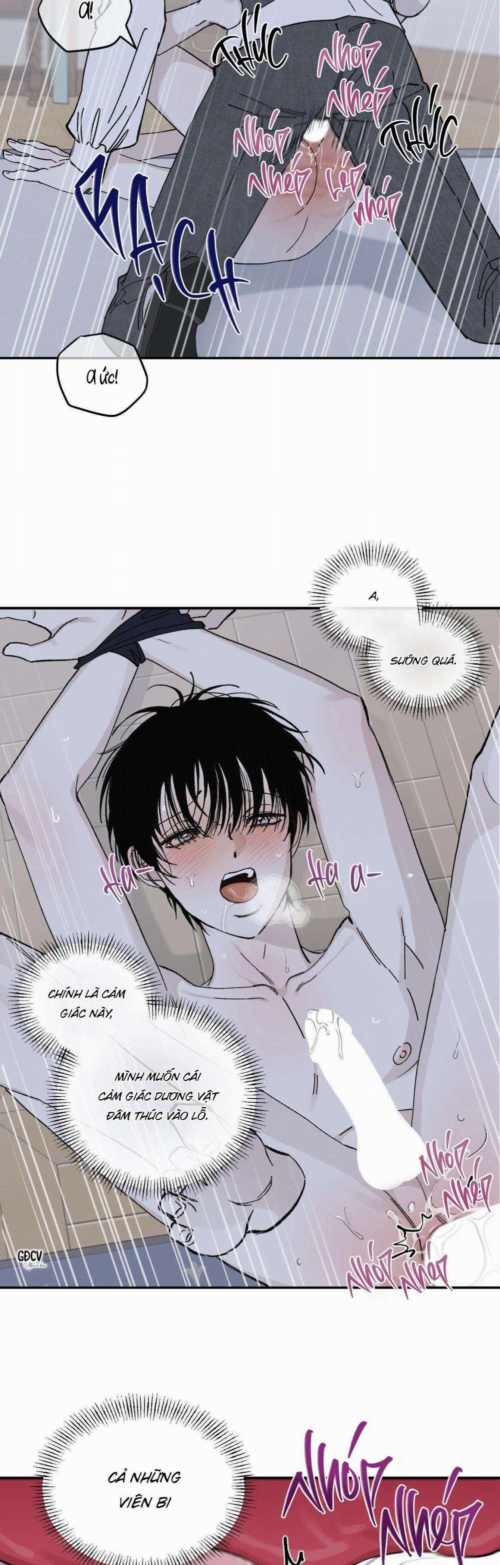 Gia Nhân 13 trang 1