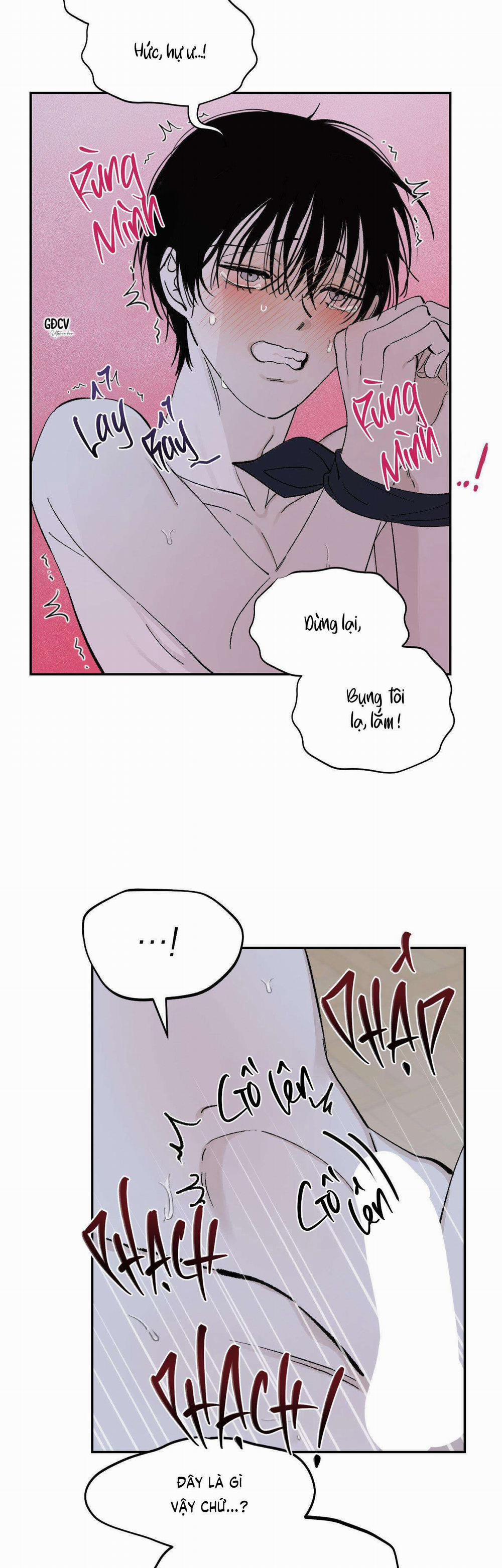 Gia Nhân 13 trang 19