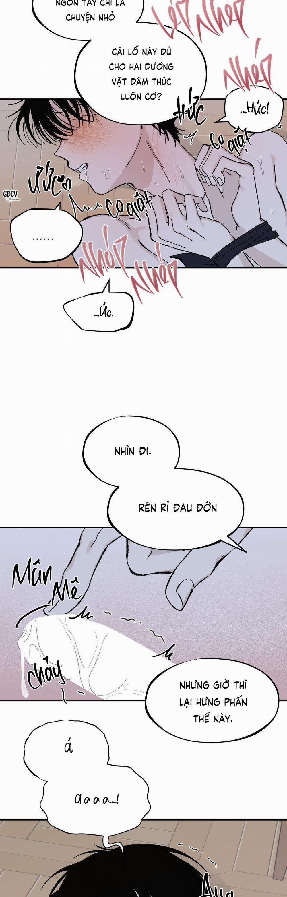 Gia Nhân 13 trang 8