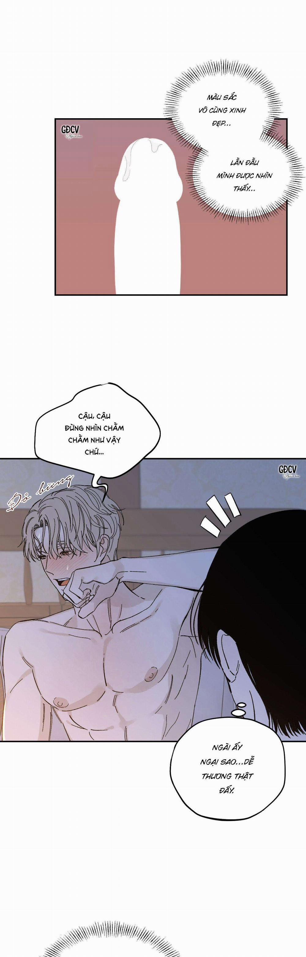 Gia Nhân 19 0 trang 5