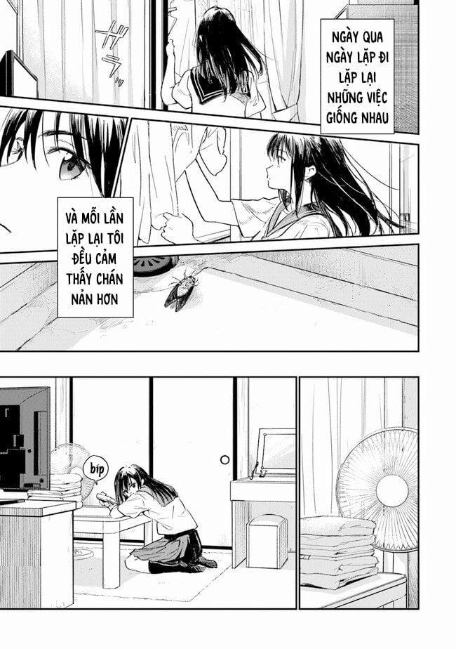 Giá Như Có Thể Gặp Lại Anh Trên Ngọn Đồi Trải Đầy Hoa Nở Ấy 1 trang 10