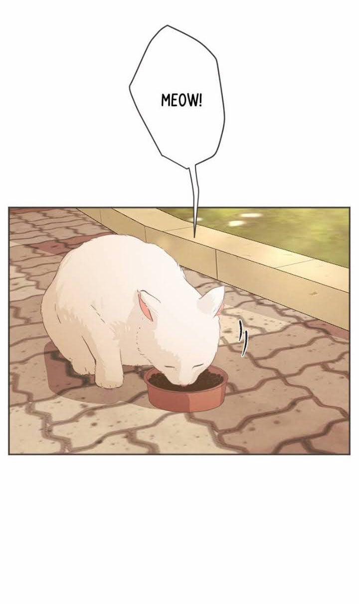 Giấc Mơ Đêm Hè 1.3 trang 0