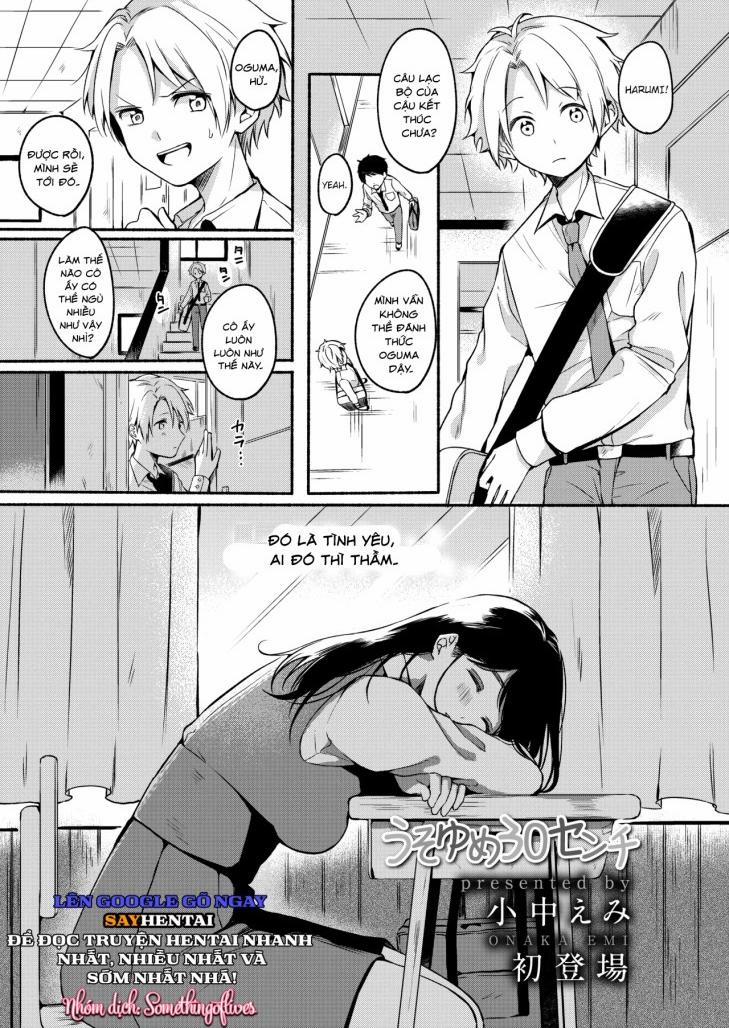 Giấc mơ ,dối lừa ,30cm 1 trang 0