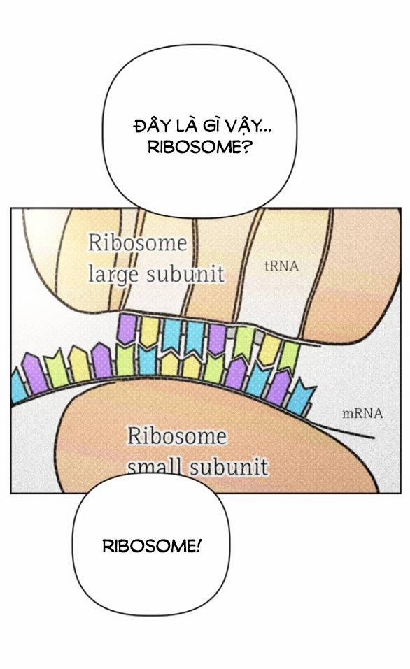 Giấc Mơ Học Thức 3.1 trang 49