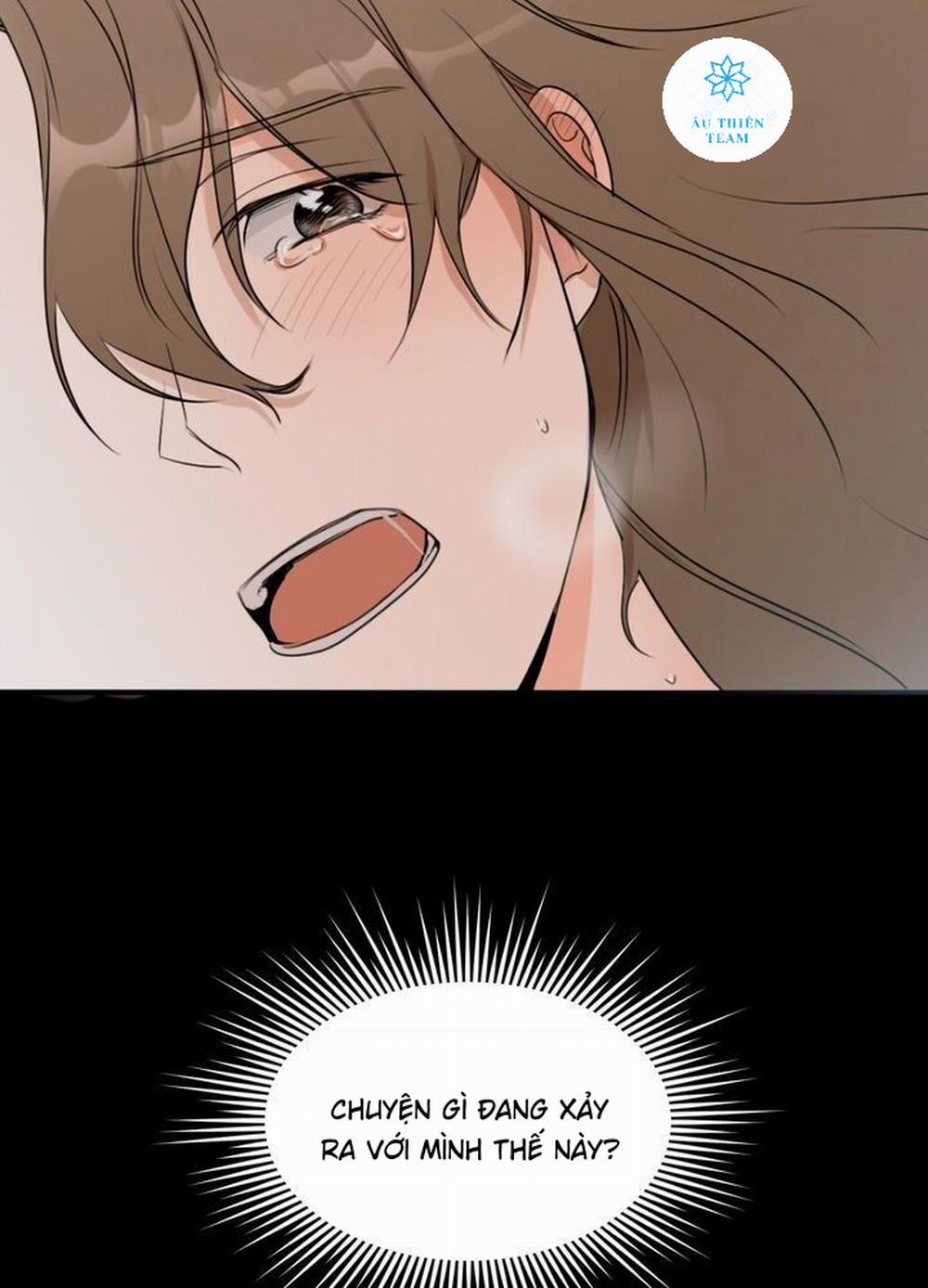 Giấc Mơ Ngọt Ngào 1 trang 11