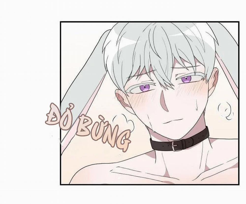 Giấc Mơ Ngọt Ngào 4 trang 50