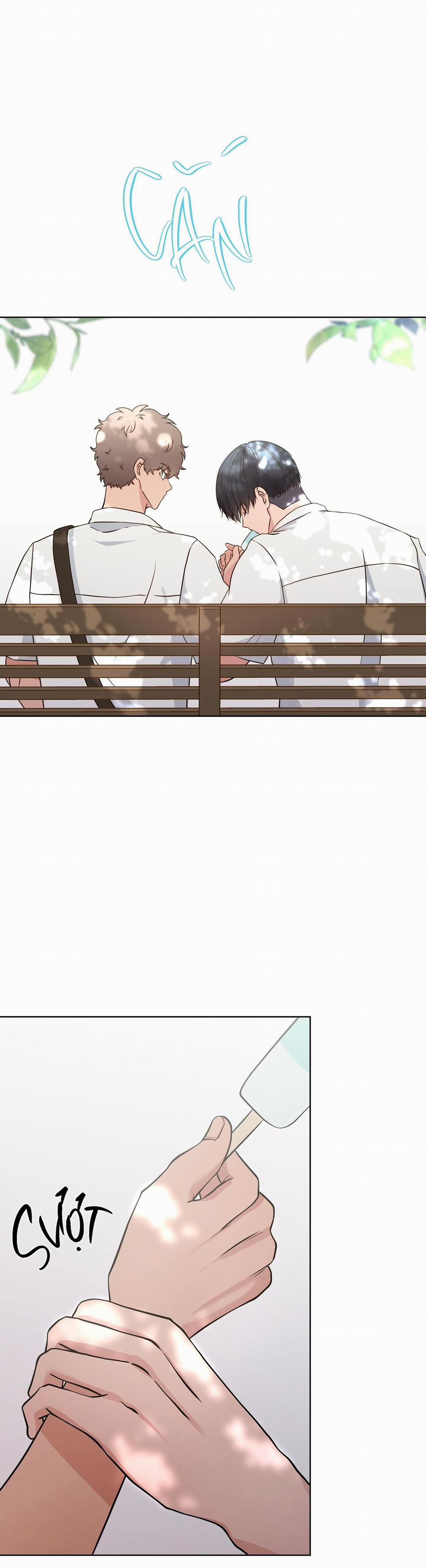 GIẤC MƠ SÁNG SUỐT 1 trang 24