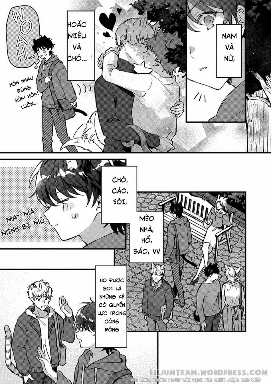 Giấc Mơ Về Bé Mèo Mun Của Chàng Hoàng Tử Sói? 1 trang 9