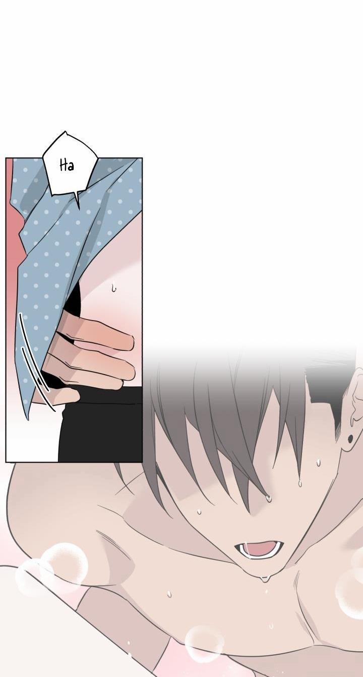 Giai điệu Của Bạn, Tiếng Lòng Của Tôi 15 trang 39