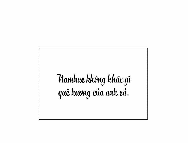 Giai điệu Của Bạn, Tiếng Lòng Của Tôi 25 trang 61