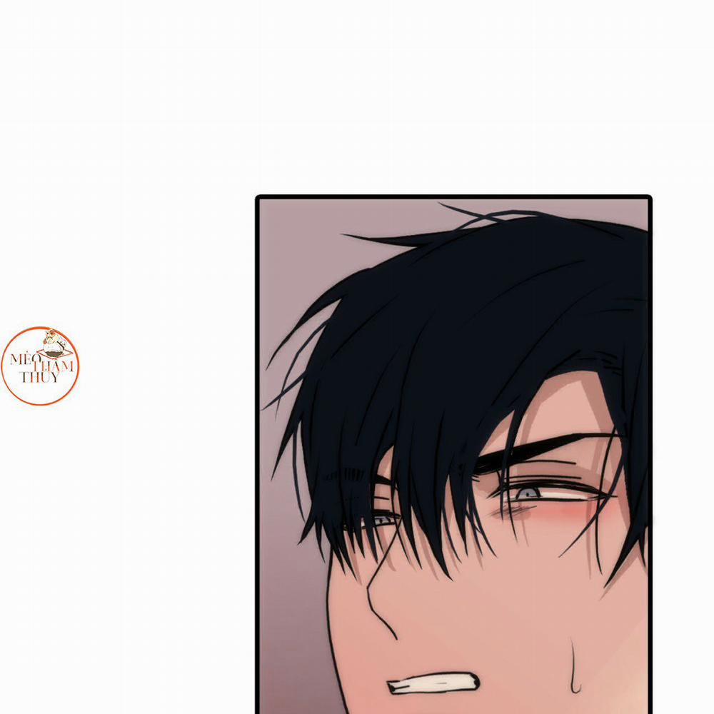 Giai Điệu Của Ngôn Ngữ 44 trang 46