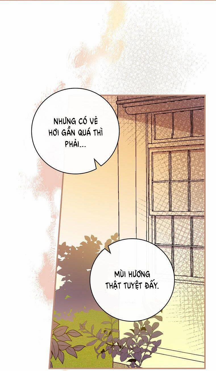 Giai Điệu Của Nhành Cây Khô Héo 11 trang 17