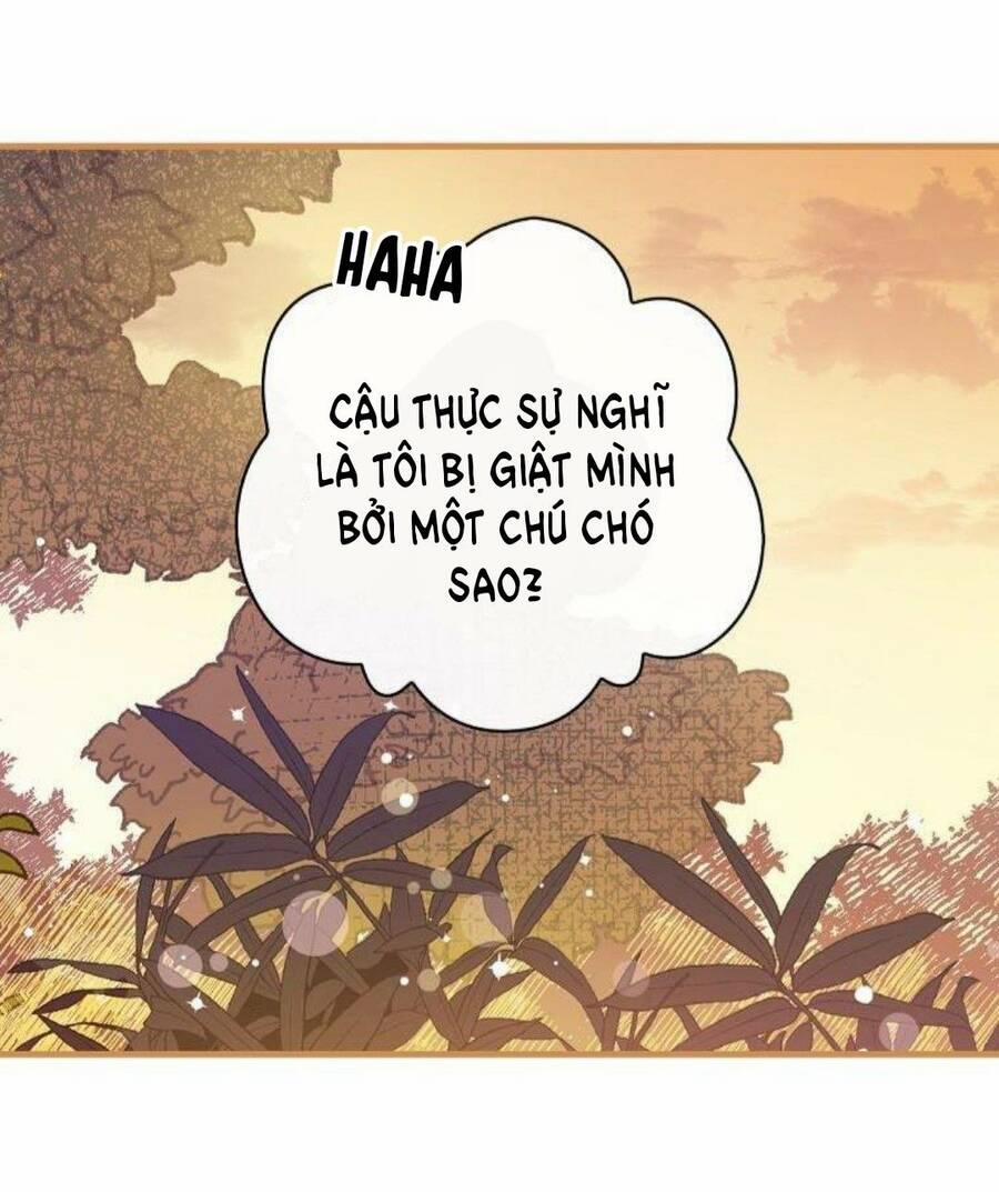 Giai Điệu Của Nhành Cây Khô Héo 11 trang 8