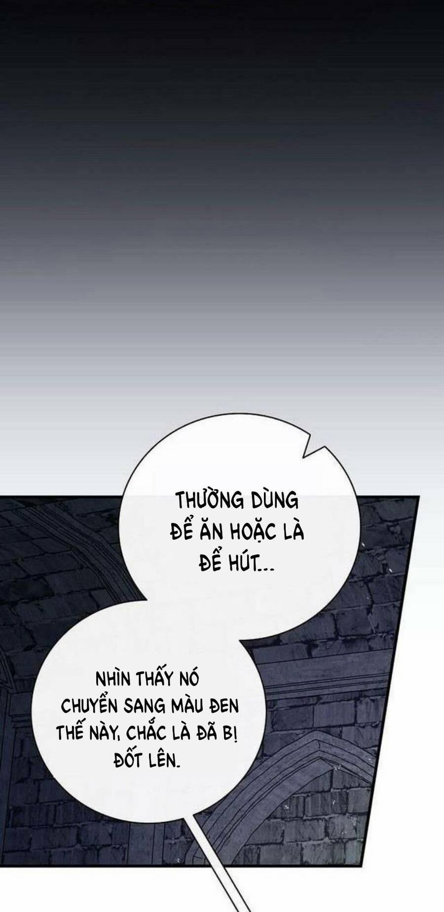 Giai Điệu Của Nhành Cây Khô Héo 17 trang 4