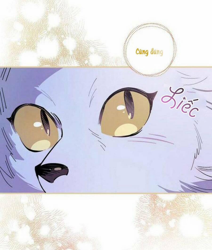 Giai Điệu Của Nhành Cây Khô Héo 17 trang 53