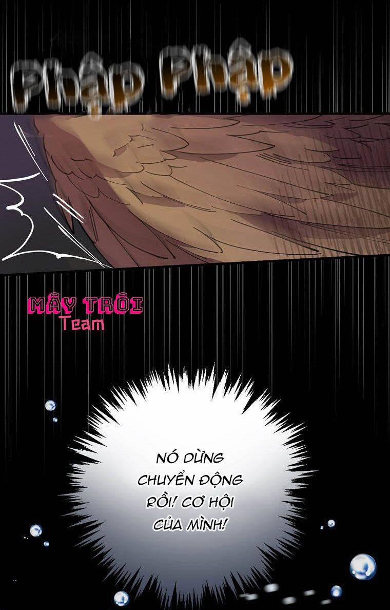 Giai Điệu Của Nhành Cây Khô Héo 23 trang 19