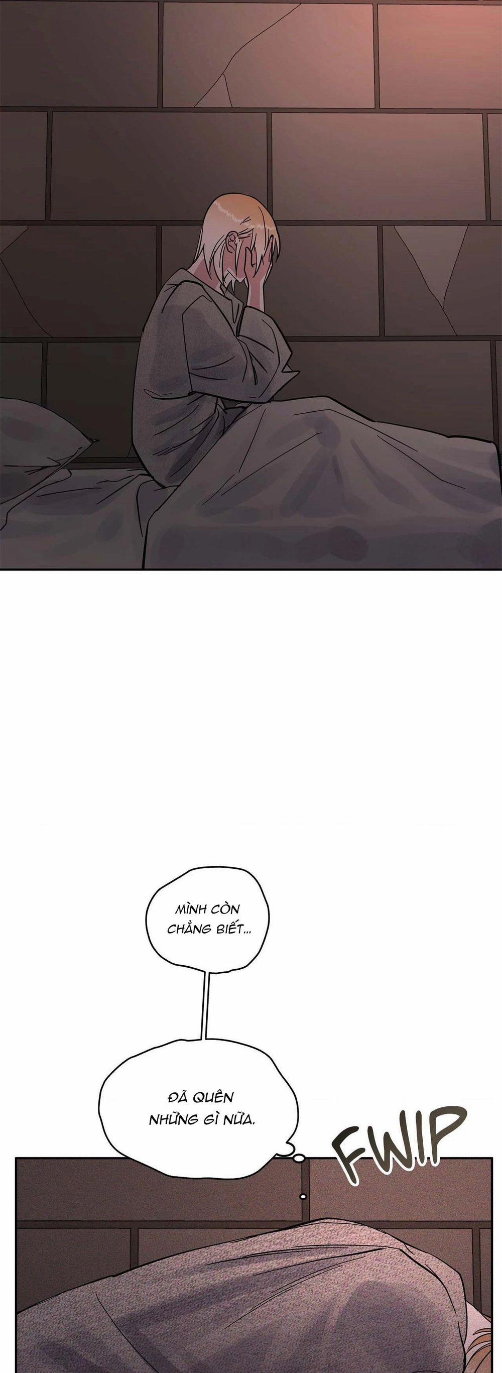 Giải Độc Dược 28 trang 17