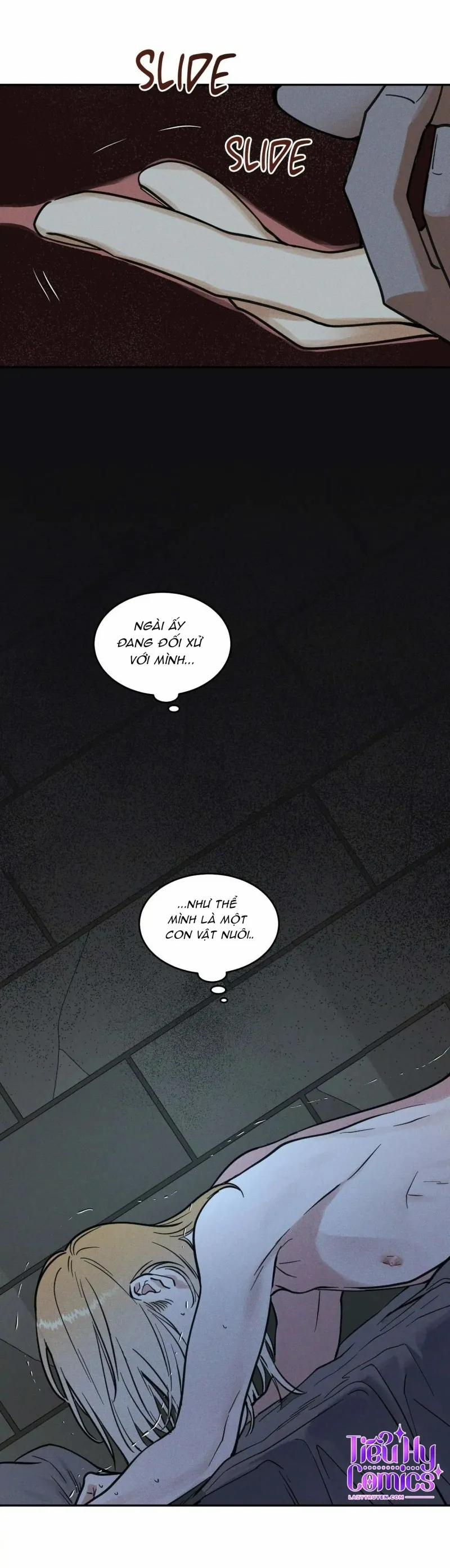 Giải Độc Dược 40 trang 11