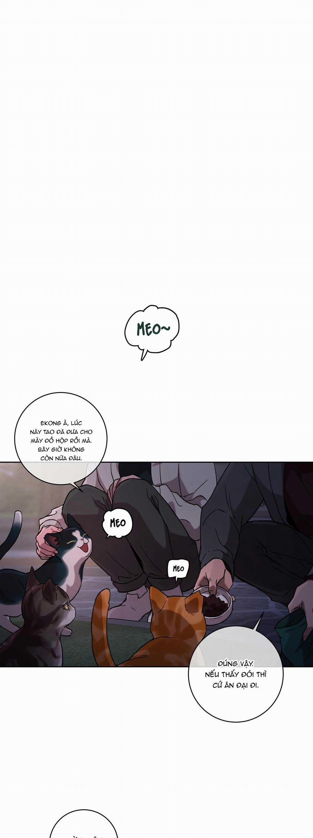 GIẢI PHÓNG BẢN THÂN 2 trang 5