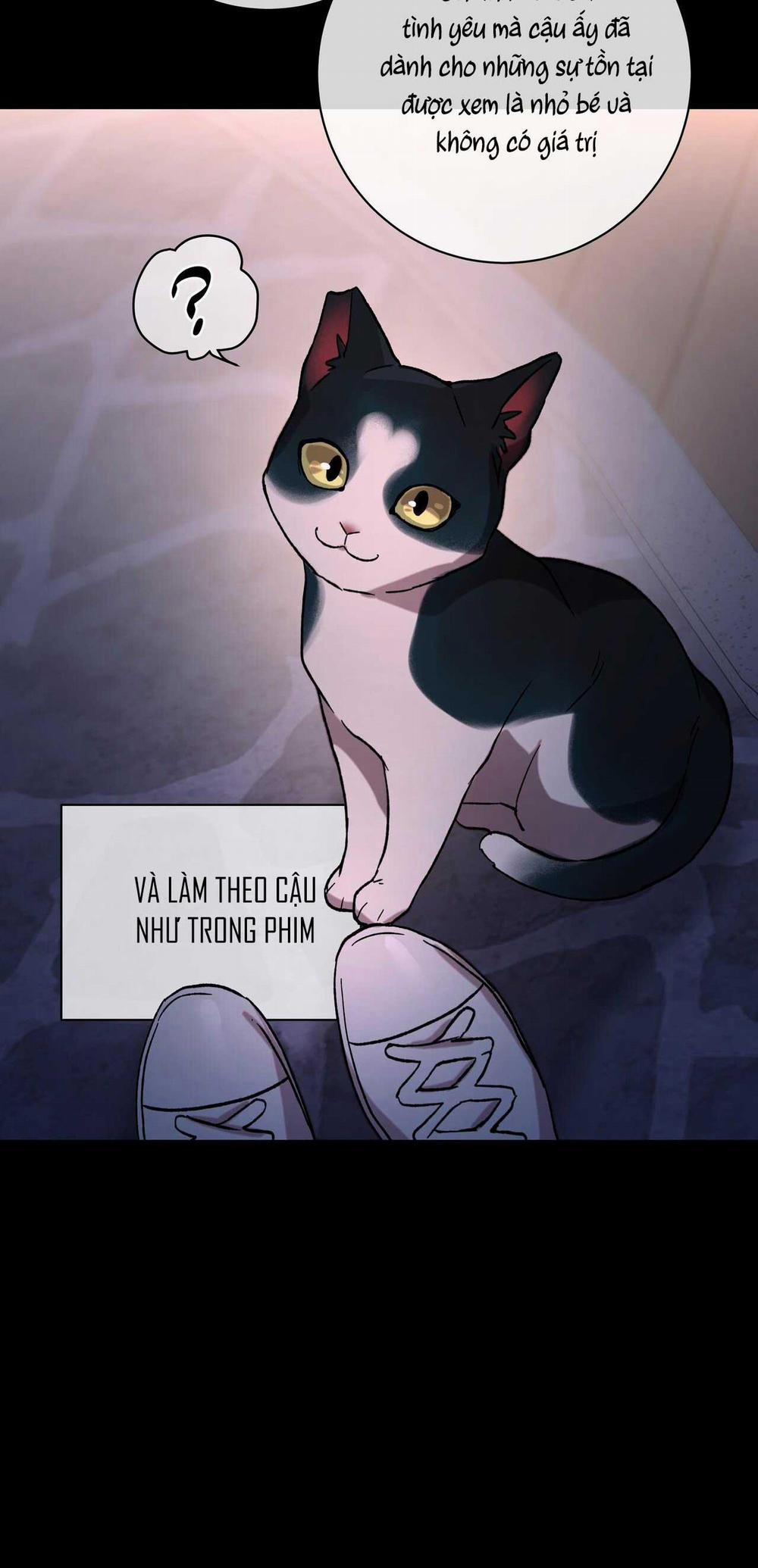 GIẢI PHÓNG BẢN THÂN 7 trang 12