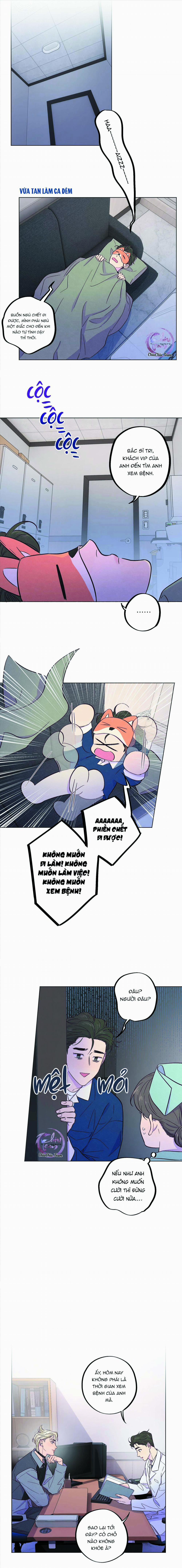 Giăng Bẫy Bác Sĩ Hồ Ly 17 trang 4