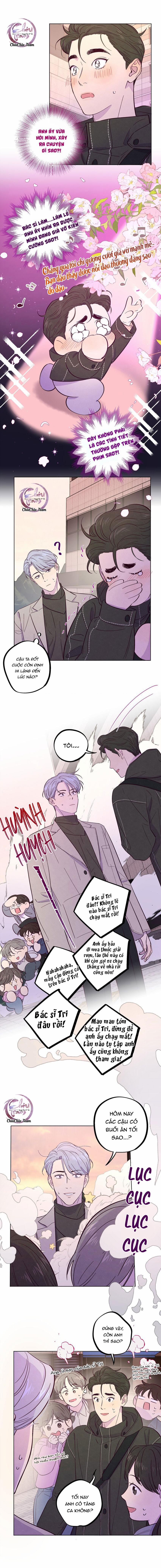 Giăng Bẫy Bác Sĩ Hồ Ly 24 trang 1