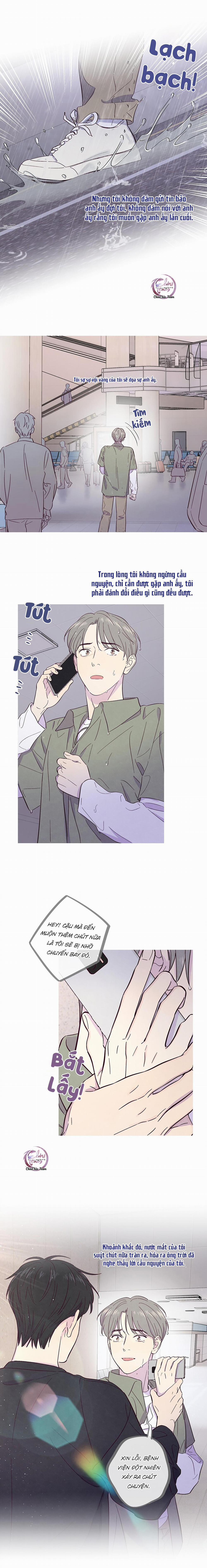 Giăng Bẫy Bác Sĩ Hồ Ly 27 trang 6