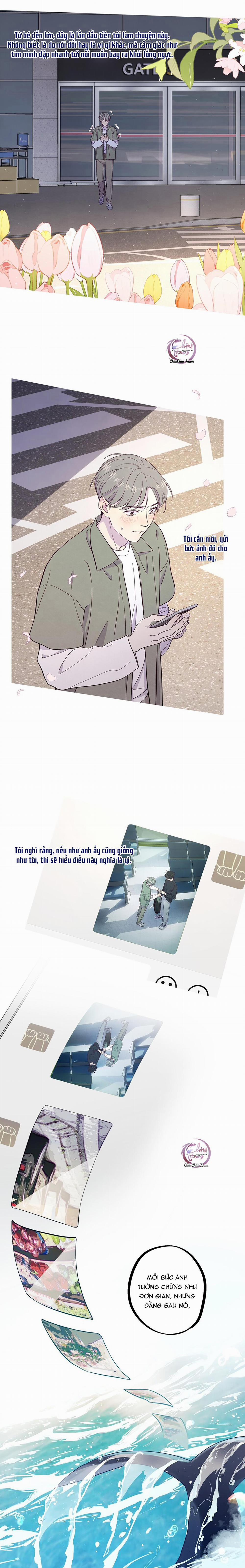 Giăng Bẫy Bác Sĩ Hồ Ly 27 trang 8