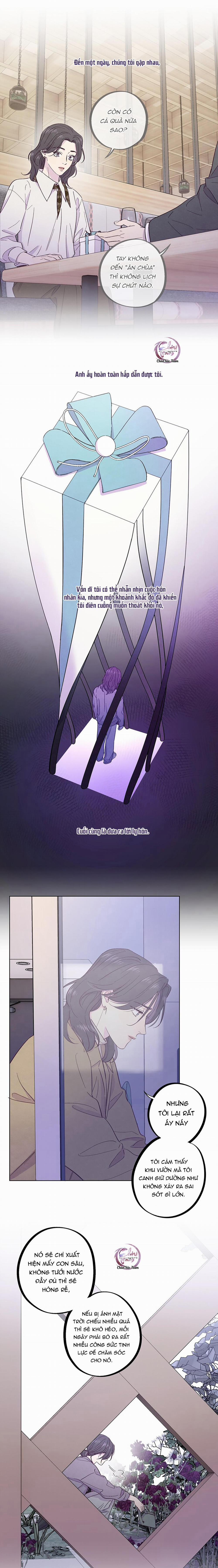 Giăng Bẫy Bác Sĩ Hồ Ly 28 trang 1