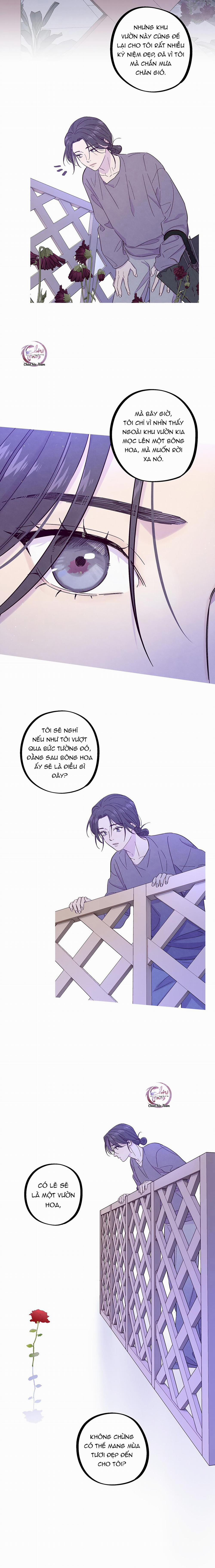 Giăng Bẫy Bác Sĩ Hồ Ly 28 trang 2