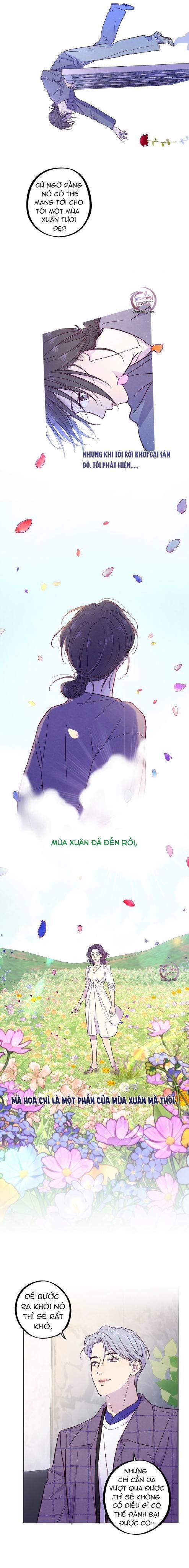 Giăng Bẫy Bác Sĩ Hồ Ly 32 trang 5