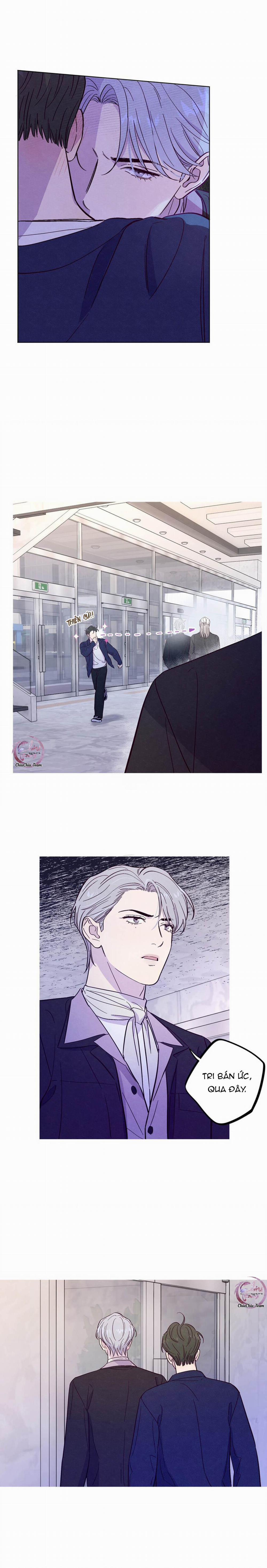 Giăng Bẫy Bác Sĩ Hồ Ly 41 trang 6