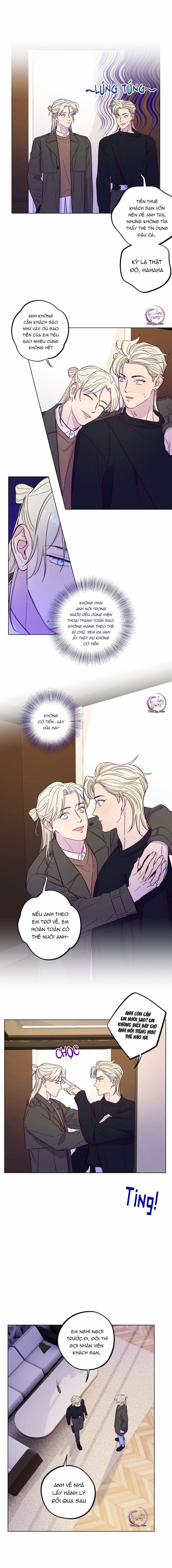 Giăng Bẫy Bác Sĩ Hồ Ly 42 trang 5