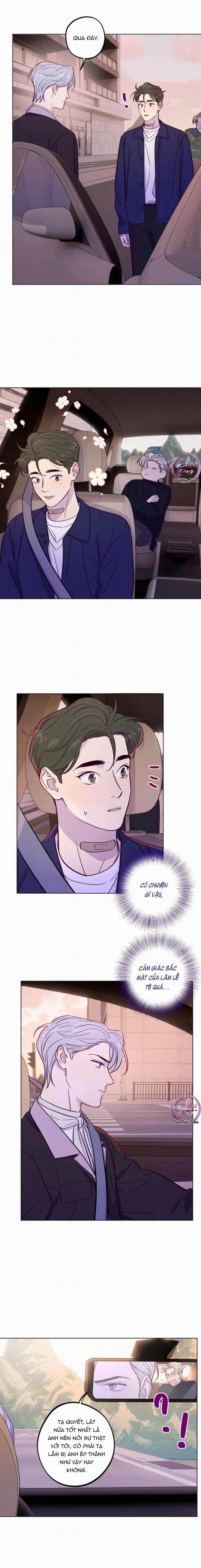 Giăng Bẫy Bác Sĩ Hồ Ly 43 trang 4