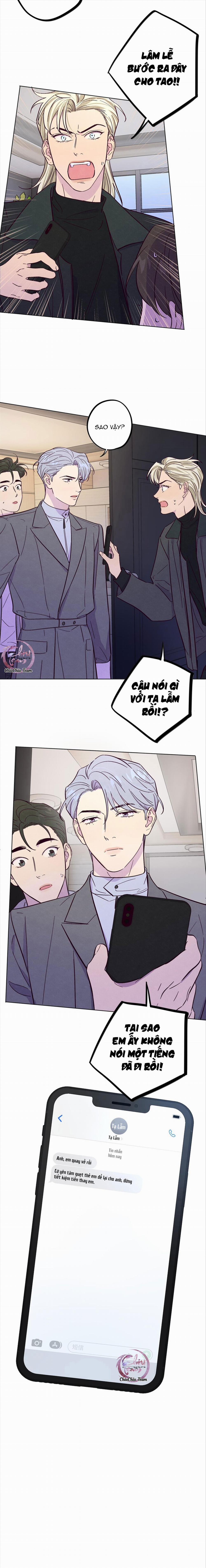 Giăng Bẫy Bác Sĩ Hồ Ly 48 trang 16