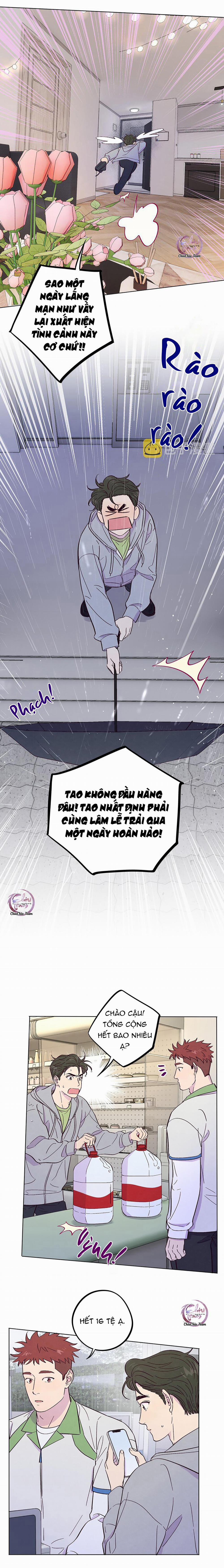 Giăng Bẫy Bác Sĩ Hồ Ly 50 trang 1