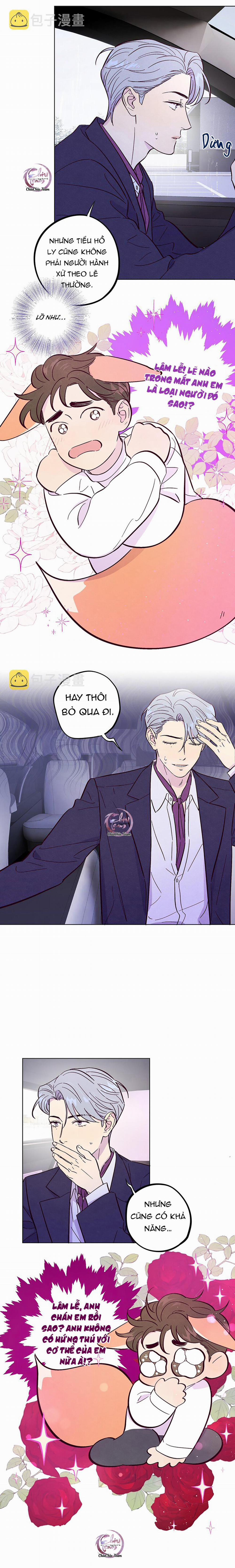 Giăng Bẫy Bác Sĩ Hồ Ly 50 trang 5