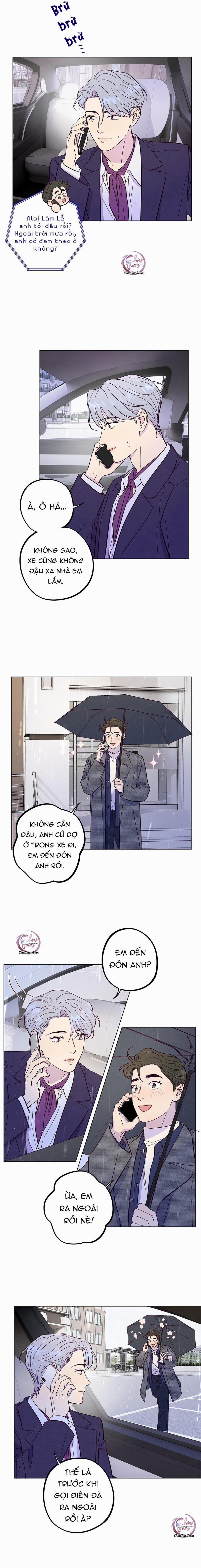 Giăng Bẫy Bác Sĩ Hồ Ly 50 trang 7