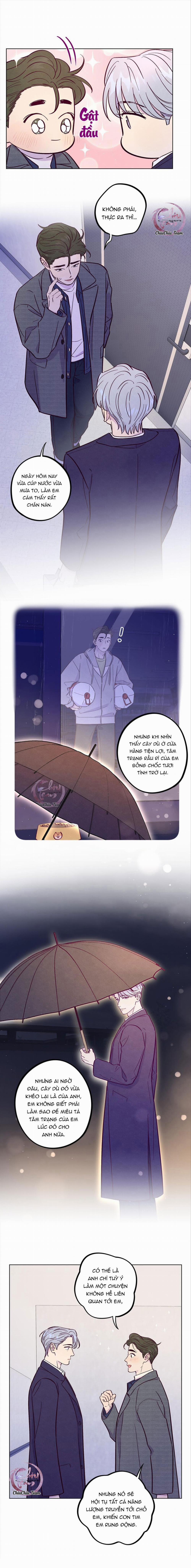 Giăng Bẫy Bác Sĩ Hồ Ly 51 trang 5