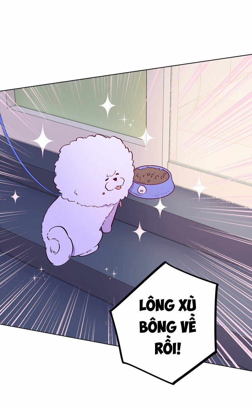 Giăng Bẫy Bác Sĩ Hồ Ly 60 trang 33