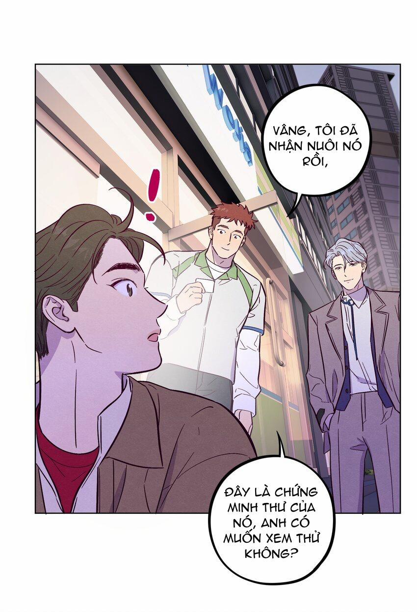 Giăng Bẫy Bác Sĩ Hồ Ly 60 trang 35