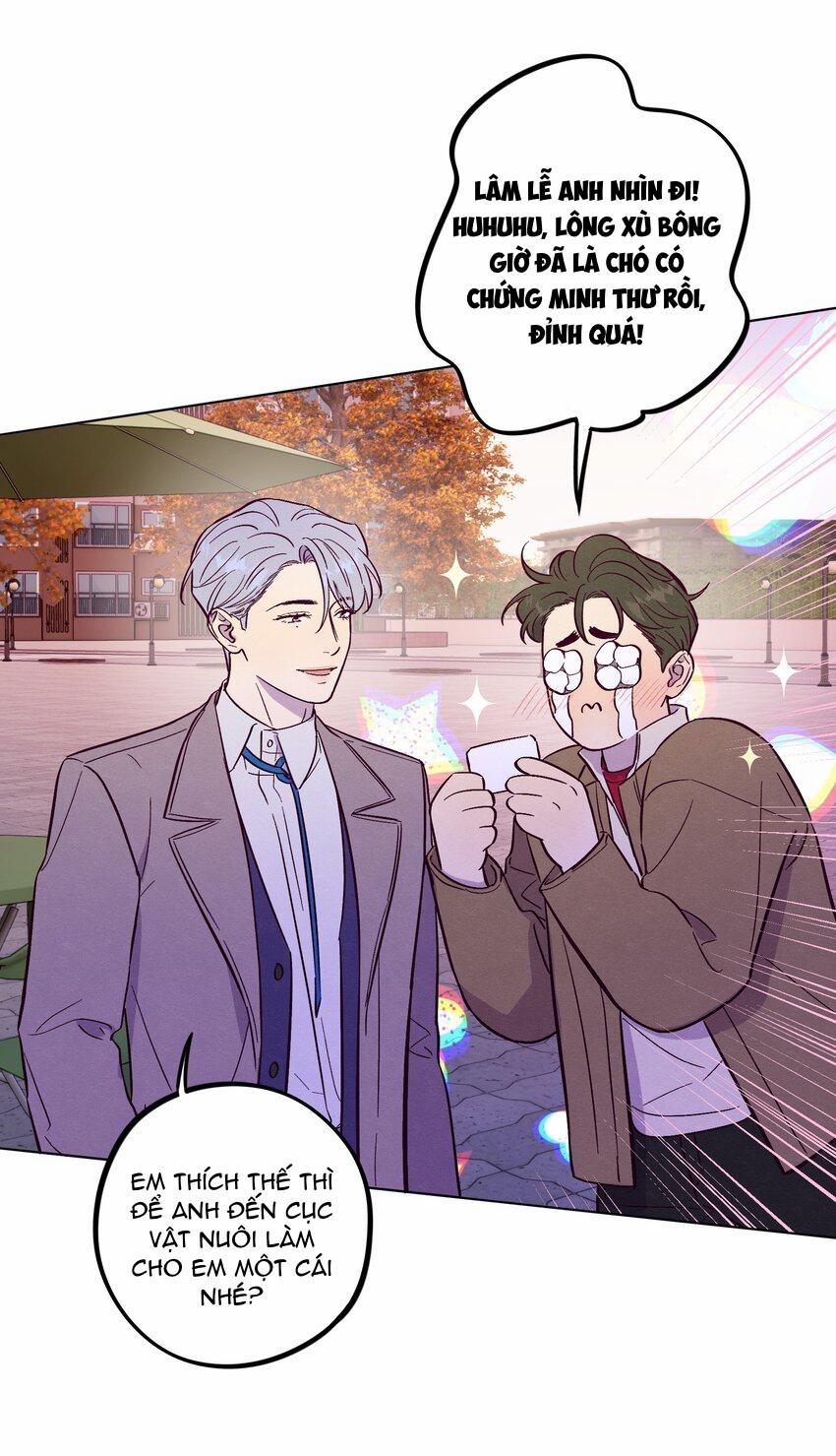 Giăng Bẫy Bác Sĩ Hồ Ly 60 trang 36