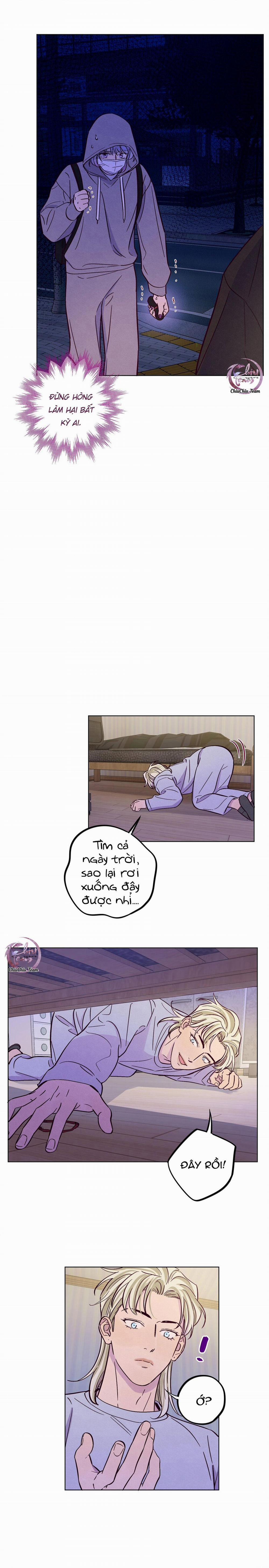 Giăng Bẫy Bác Sĩ Hồ Ly 81 trang 11