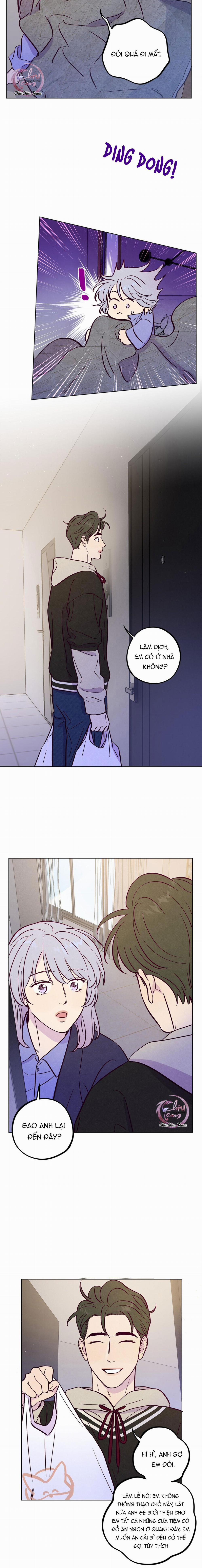 Giăng Bẫy Bác Sĩ Hồ Ly 83 trang 2