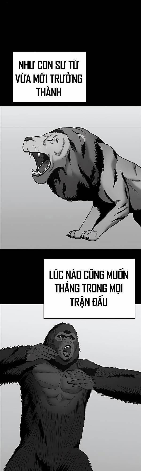 Giang Hồ Thực Thi Công Lý 49 trang 8